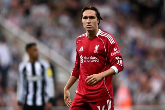 罗加入,饿狼传说,群狼之城,皇冠体育,皇冠体育app,皇冠体育官网,皇冠体育下载,皇冠体育入口