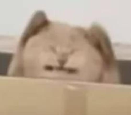 東京殘奧會,視障足球項,目概览,皇冠体育,皇冠体育app,皇冠体育官网,皇冠体育下载,皇冠体育入口